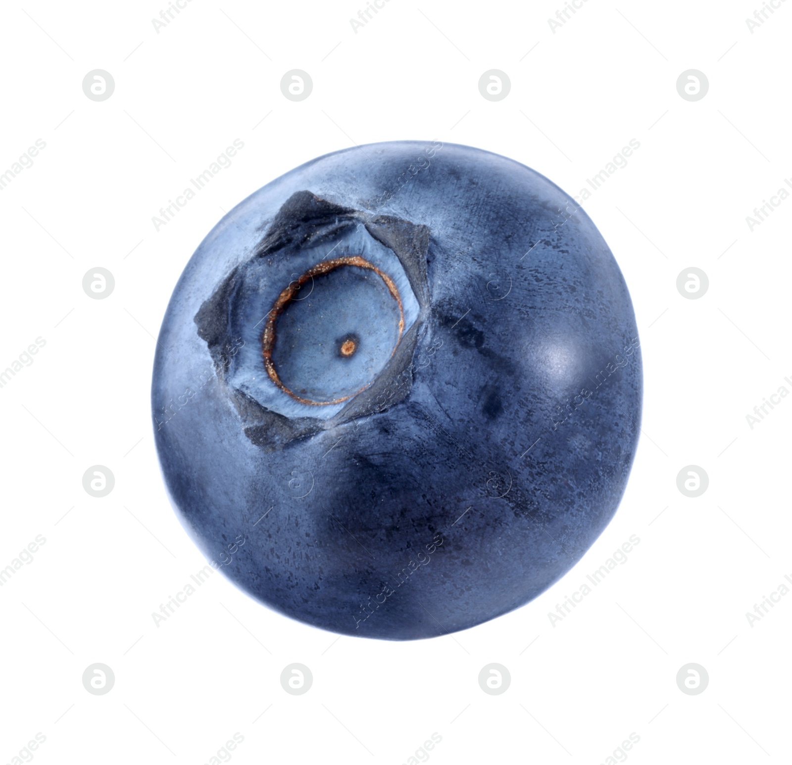 Photo of One fresh ripe blueberry isolated on white