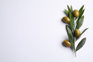 Photo of Twig with olives and fresh green leaves on white background, top view. Space for text