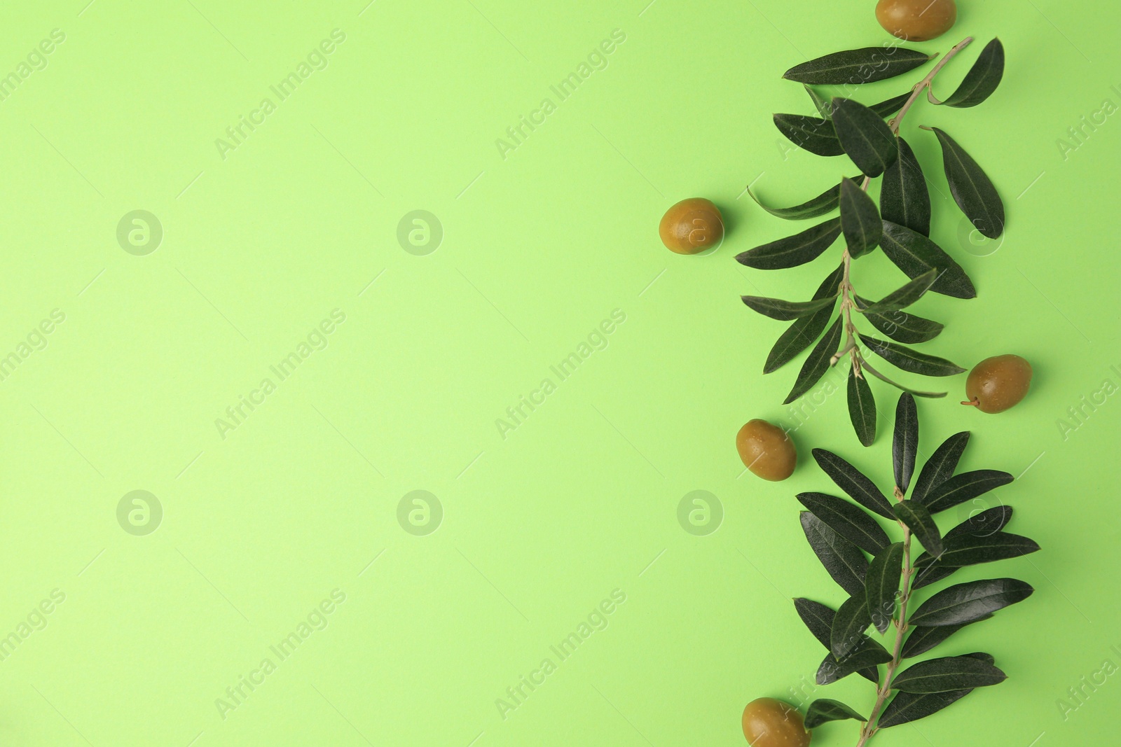 Photo of Fresh olives and leaves on light green background, flat lay. Space for text
