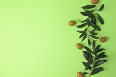 Fresh olives and leaves on light green background, flat lay. Space for text