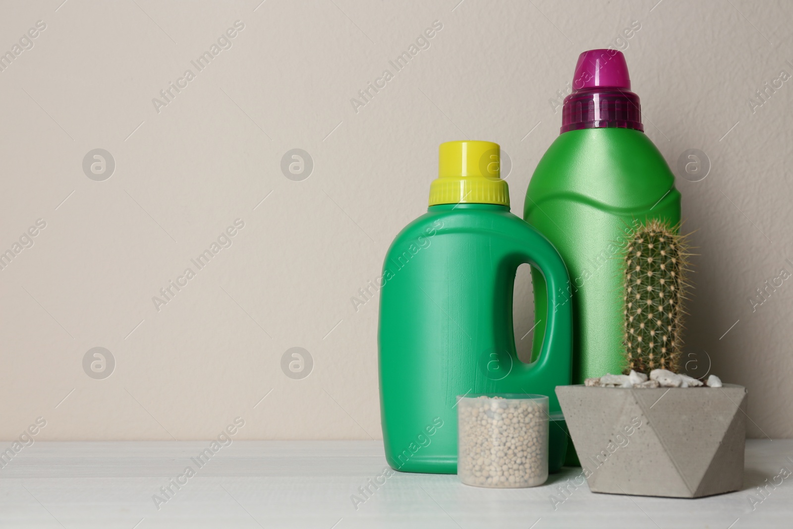 Photo of Beautiful house plant and different fertilizers on white wooden table. Space for text