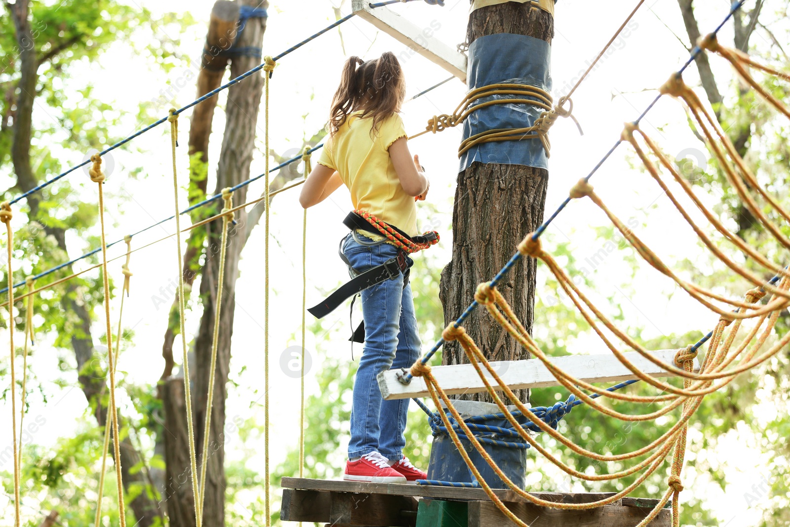 Photo of Little girl climbing in adventure park. Summer camp