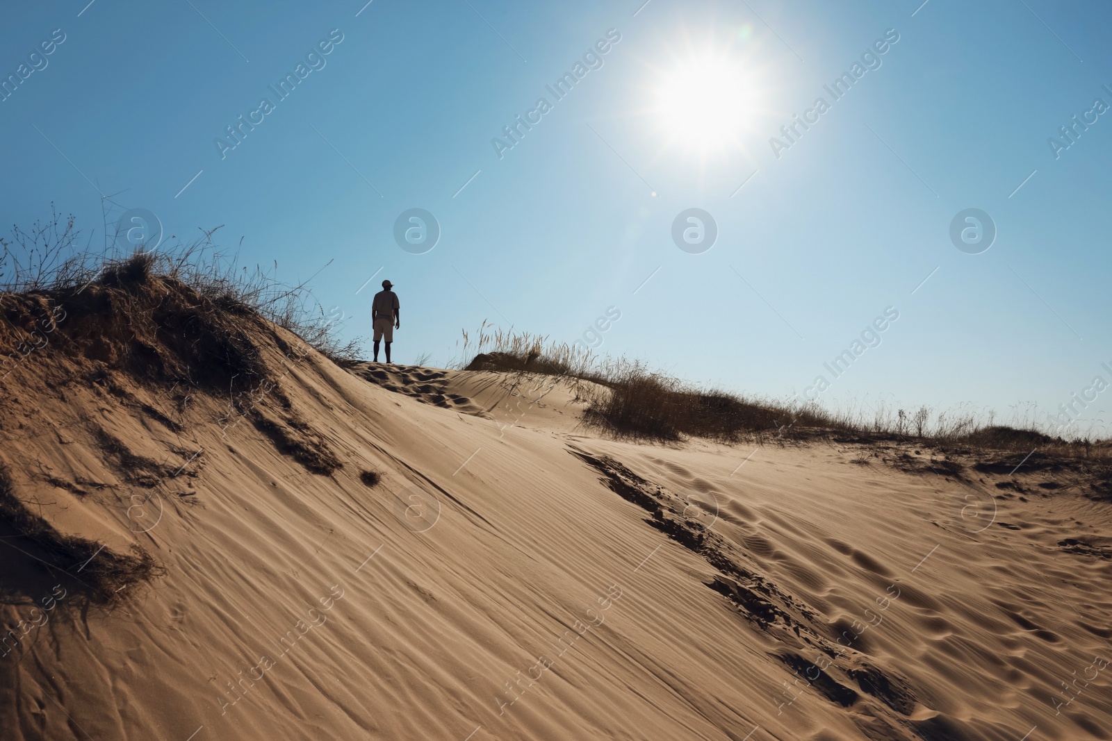 Photo of Man in desert on sunny day, back view