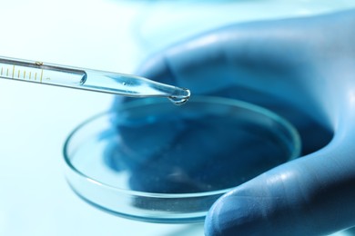 Doctor dripping liquid from pipette into petri dish on blurred background, closeup. Laboratory analysis