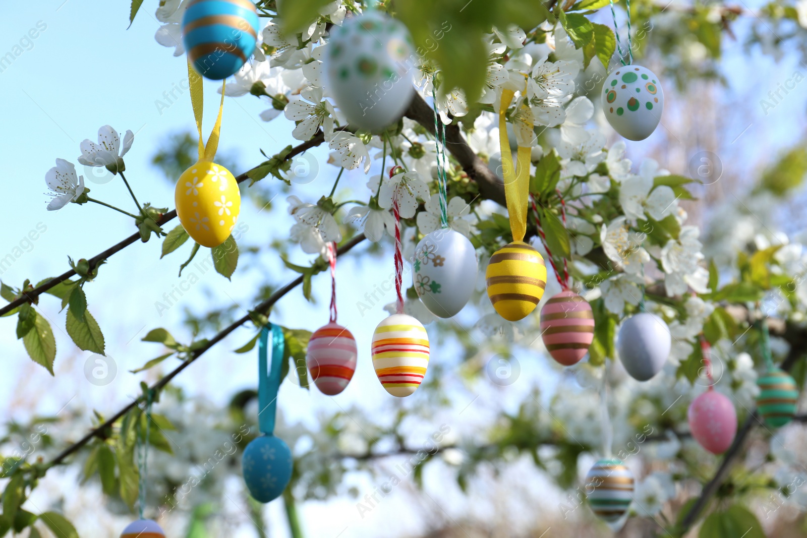 Photo of Beautifully painted Easter eggs hanging on blooming tree outdoors, closeup