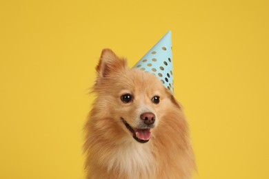 Cute dog with party hat on yellow background. Birthday celebration