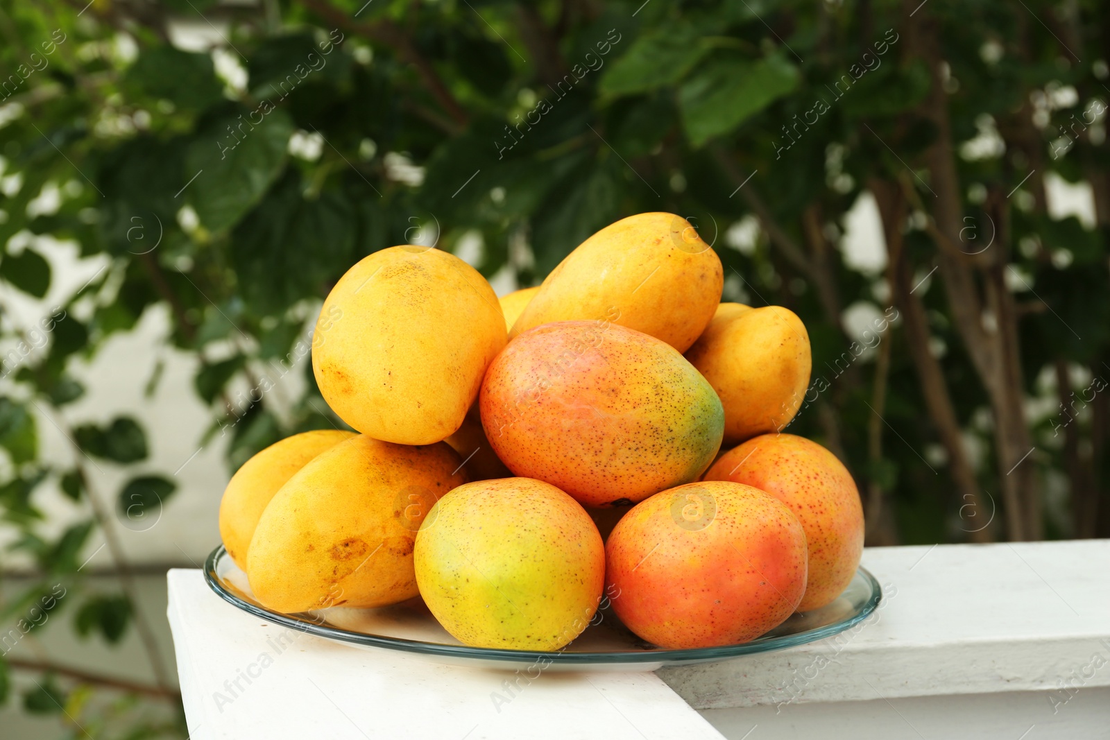 Photo of Delicious ripe yellow mangoes on glass plate outdoors