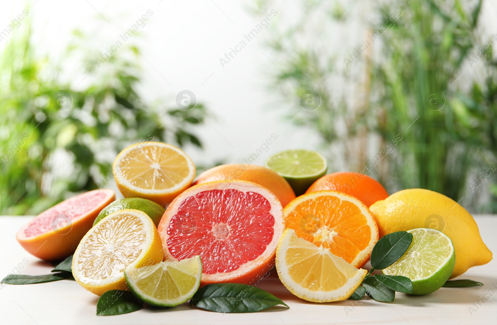 Photo of Different cut and whole citrus fruits on white table