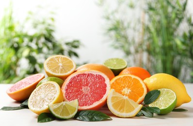 Photo of Different cut and whole citrus fruits on white table