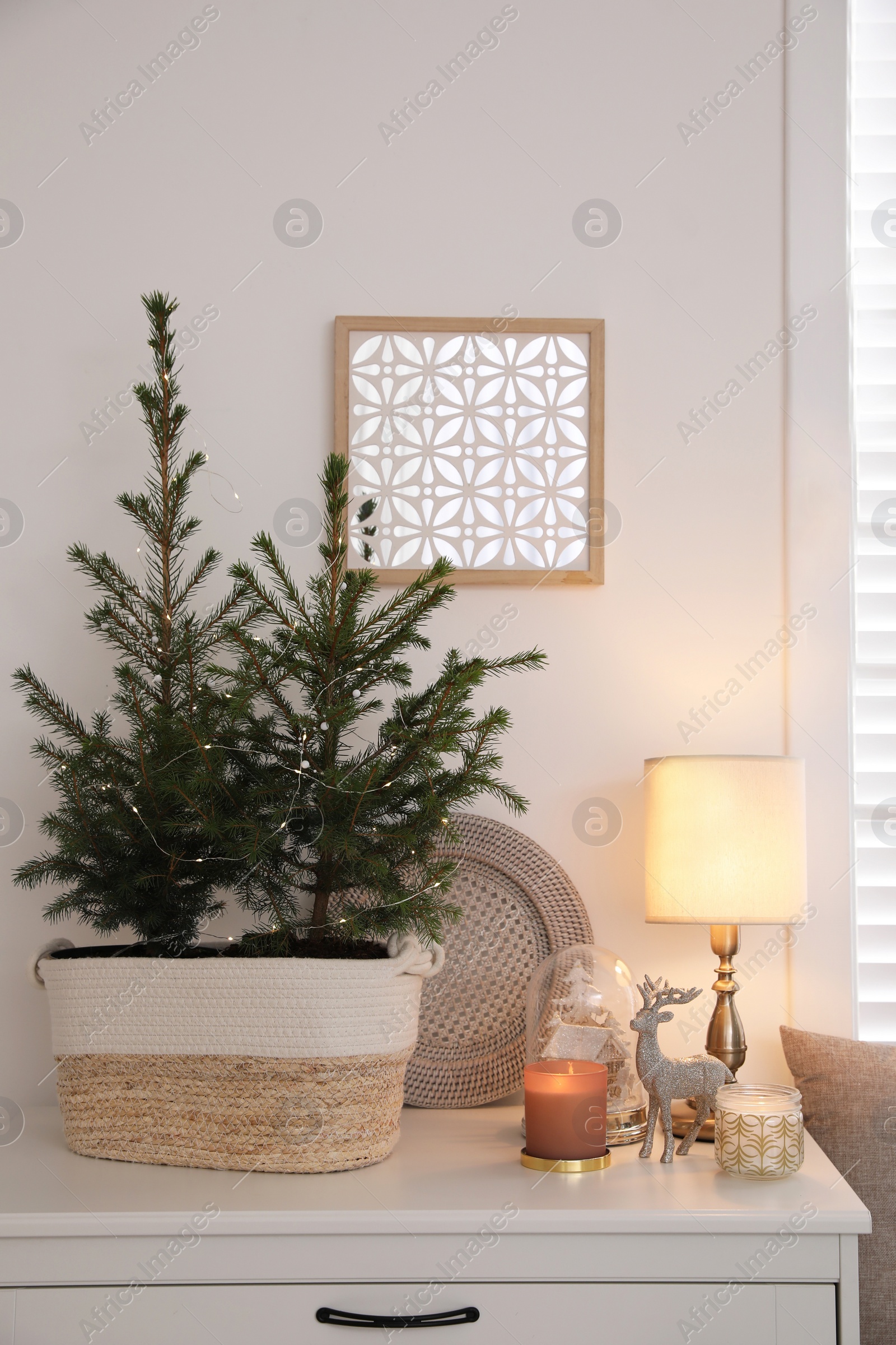 Photo of Beautiful room interior decorated for Christmas with potted firs