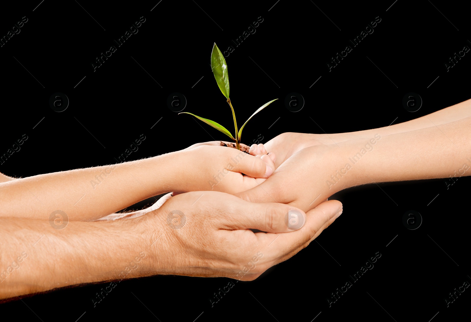 Photo of Family holding soil with green plant in hands on black background