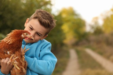 Farm animal. Cute little boy holding chicken in countryside, space for text