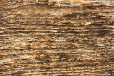 Closeup view of old wooden surface as background
