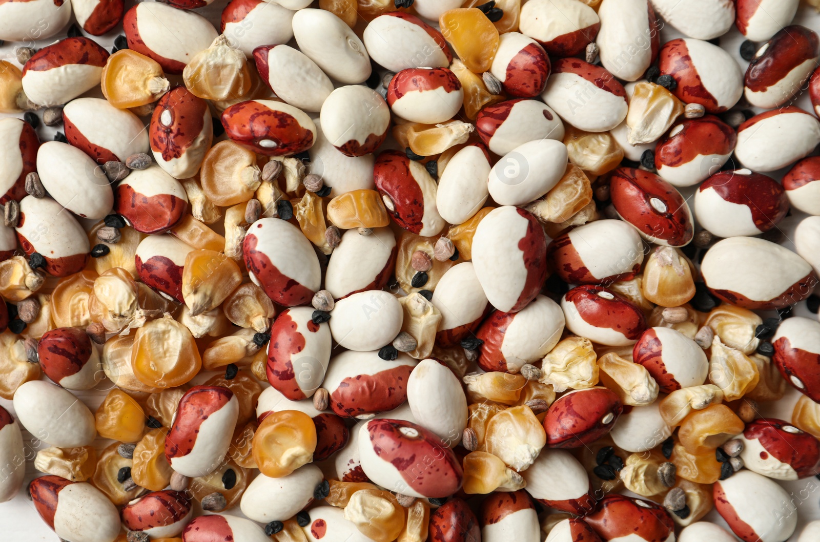 Photo of Mixed vegetable seeds as background, top view