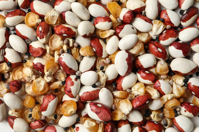 Photo of Mixed vegetable seeds as background, top view