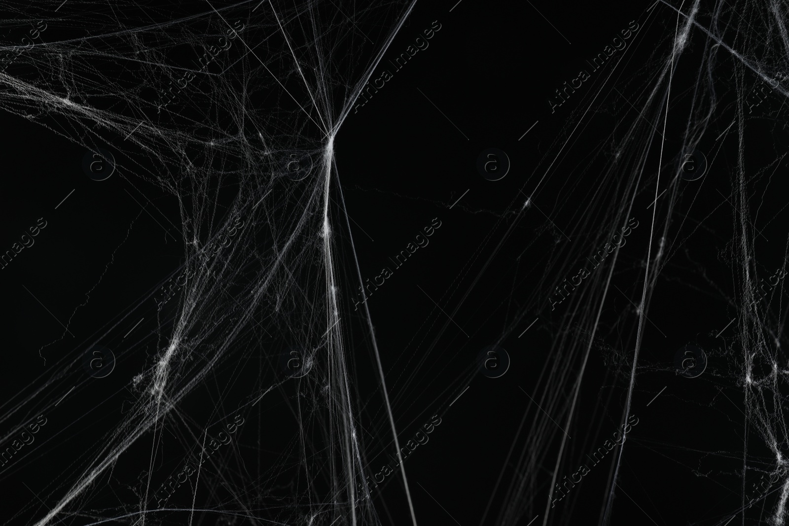 Photo of Creepy white spider web on black background