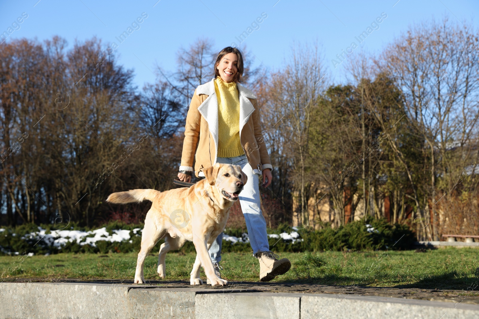 Photo of Beautiful young woman walking with cute Labrador Retriever on sunny day outdoors