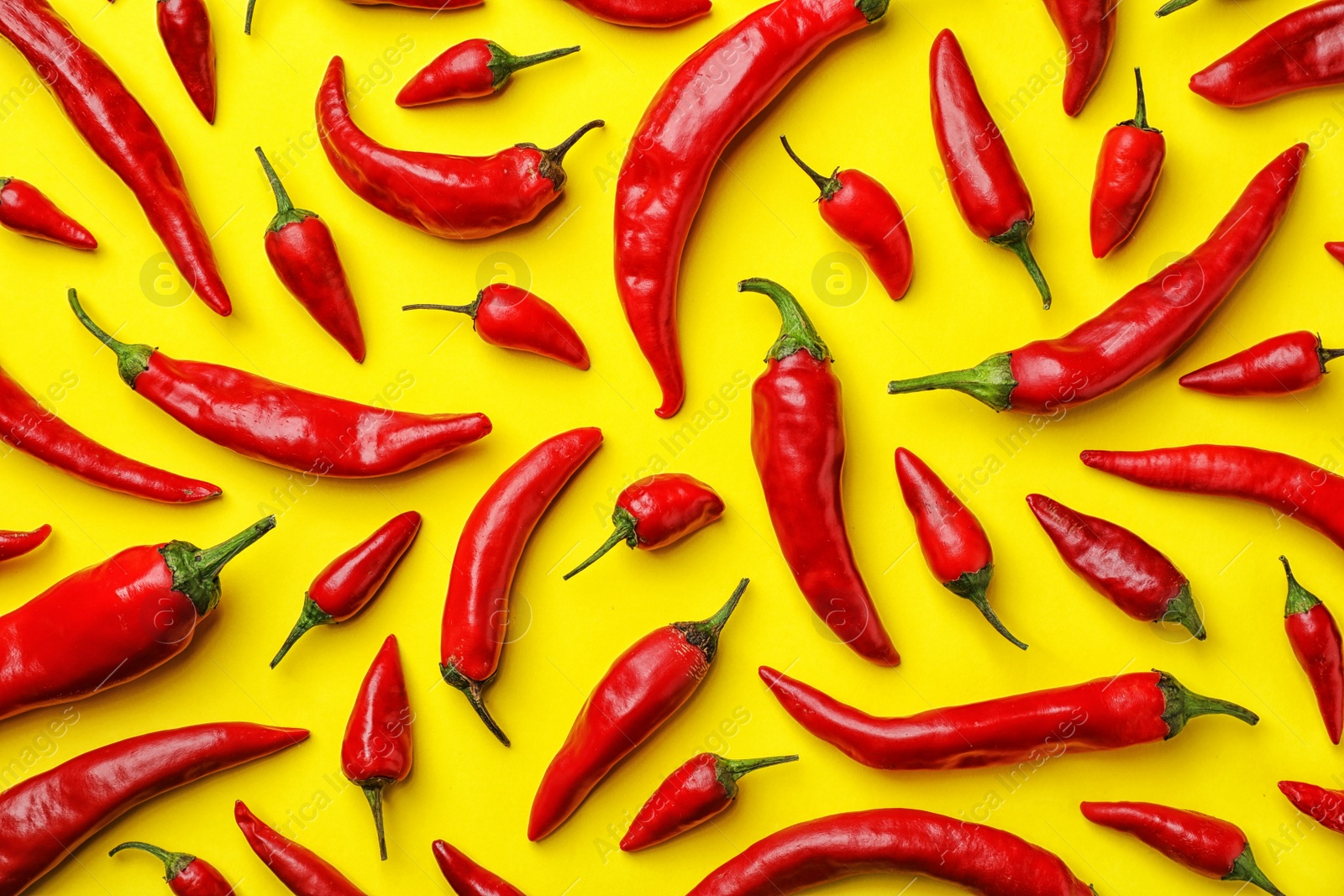 Photo of Flat lay composition with fresh chili peppers on color background