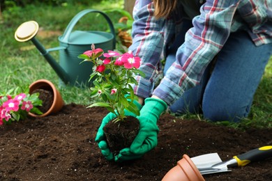 Photo of Woman holding beautiful pink vinca flower over soil in garden, closeup