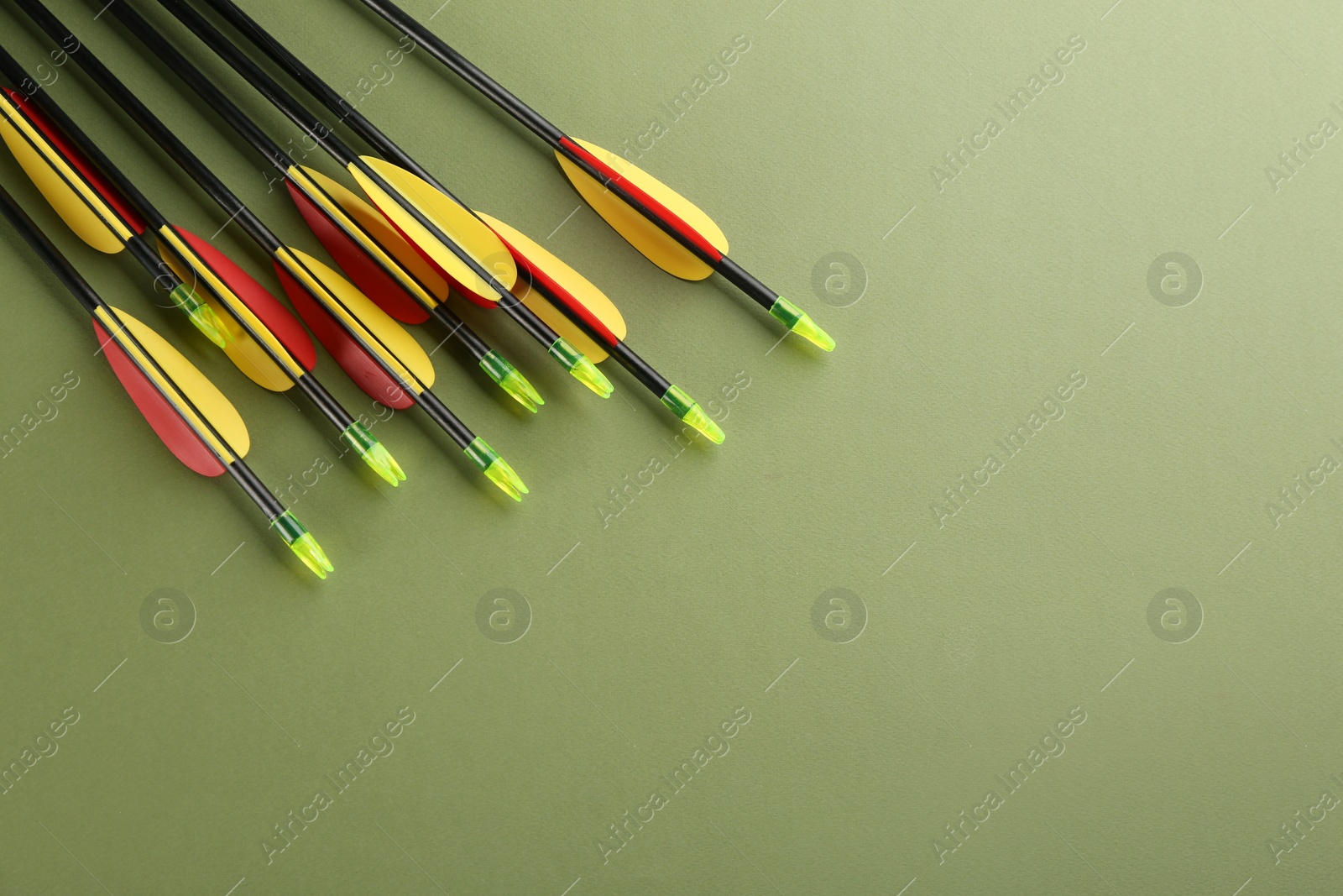 Photo of Plastic arrows on olive background, flat lay with space for text. Archery sports equipment