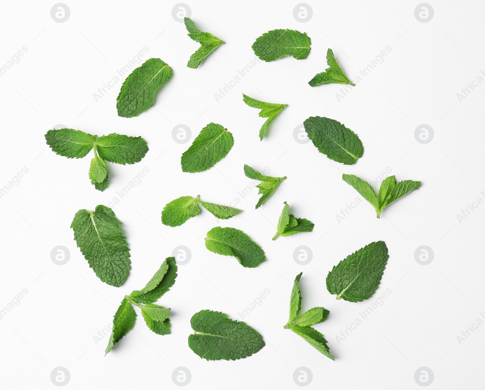 Photo of Flat lay composition with fresh green mint leaves on white background