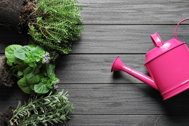Photo of Flat lay composition with plants and watering can on wooden background. Gardening tool