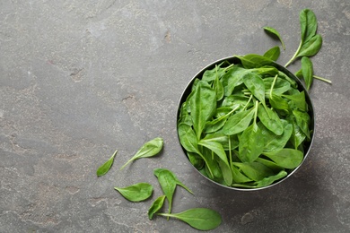 Photo of Fresh green healthy spinach on grey table, flat lay. Space for text