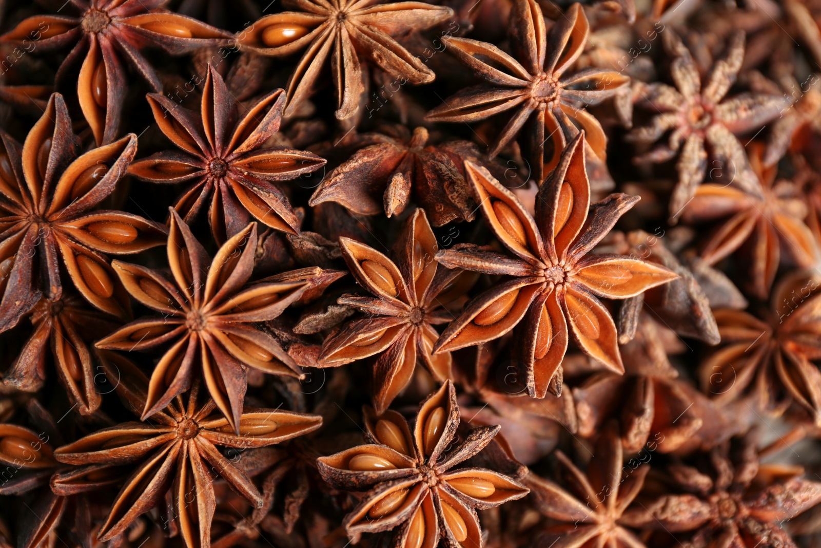 Photo of Aromatic anise stars as background, top view