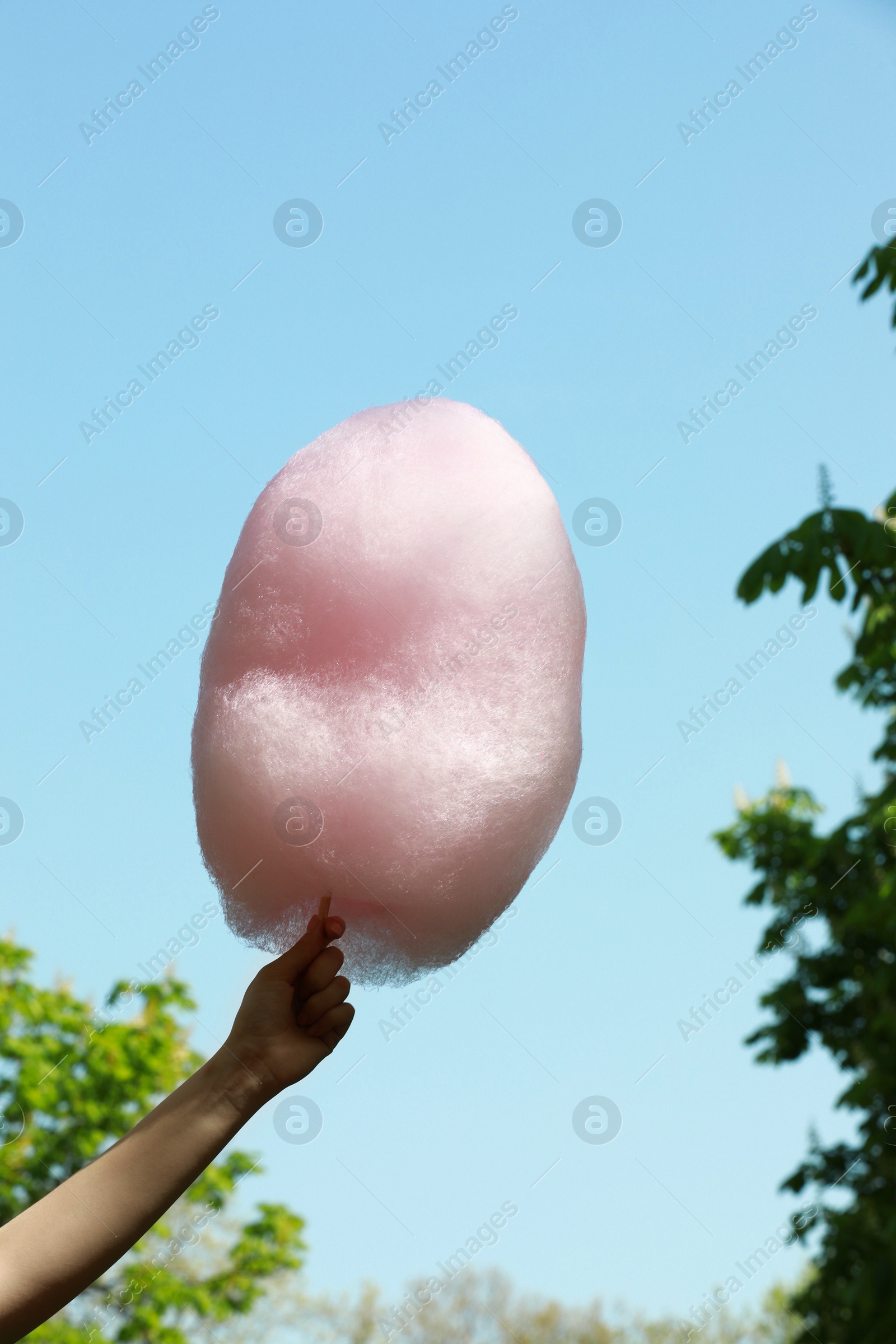 Photo of Woman holding sweet cotton candy against blue sky, closeup