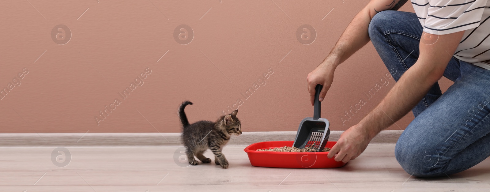 Image of Man cleaning cat litter tray at home, closeup. Banner design with space for text