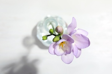 Photo of Beautiful fresh freesia with fragrant flowers in vase on white background, top view