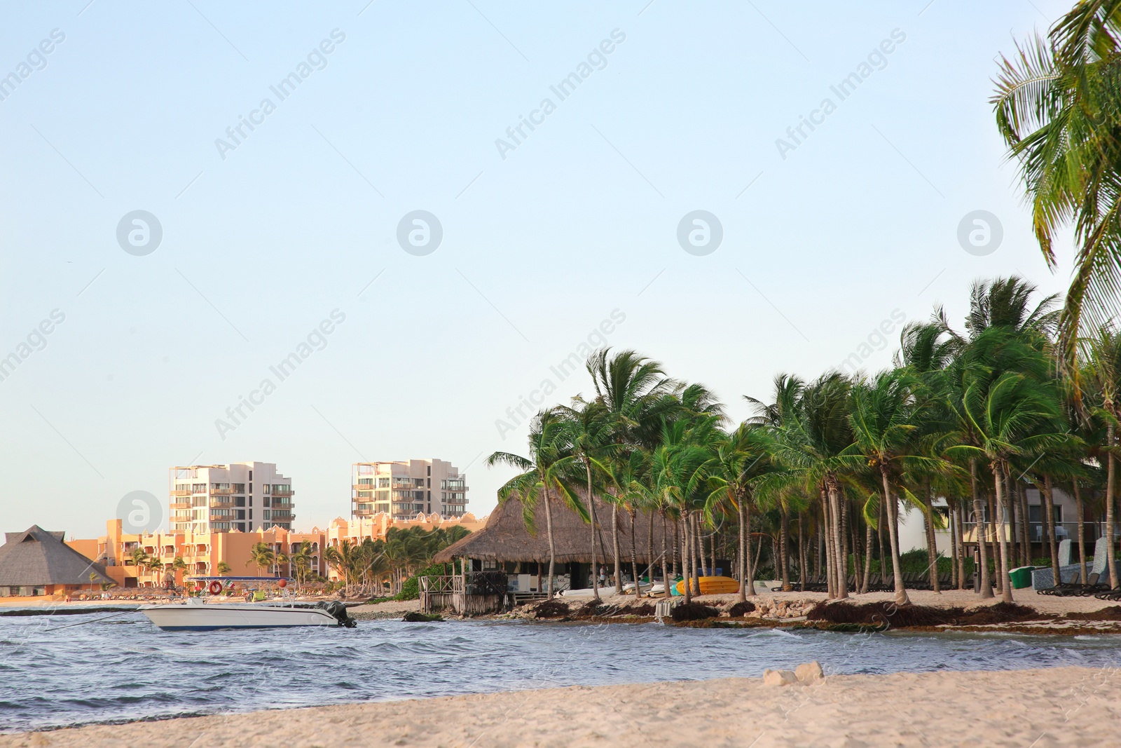 Photo of Picturesque view of sea coast, palm trees and resort on sunny day