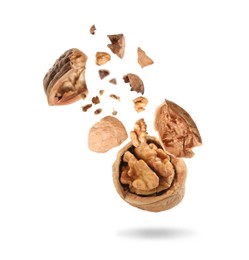 Broken walnut and pieces of shell flying on white background