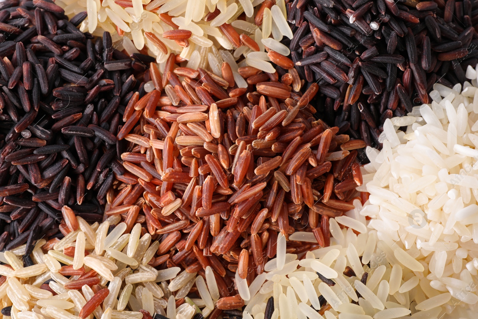 Photo of Different types of brown and polished rice as background, closeup