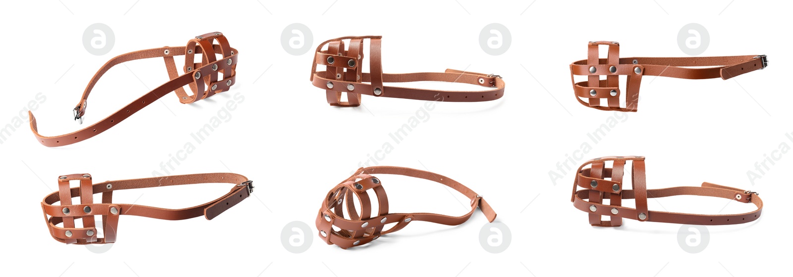 Image of Collage with brown leather dog muzzle on white background, different sides