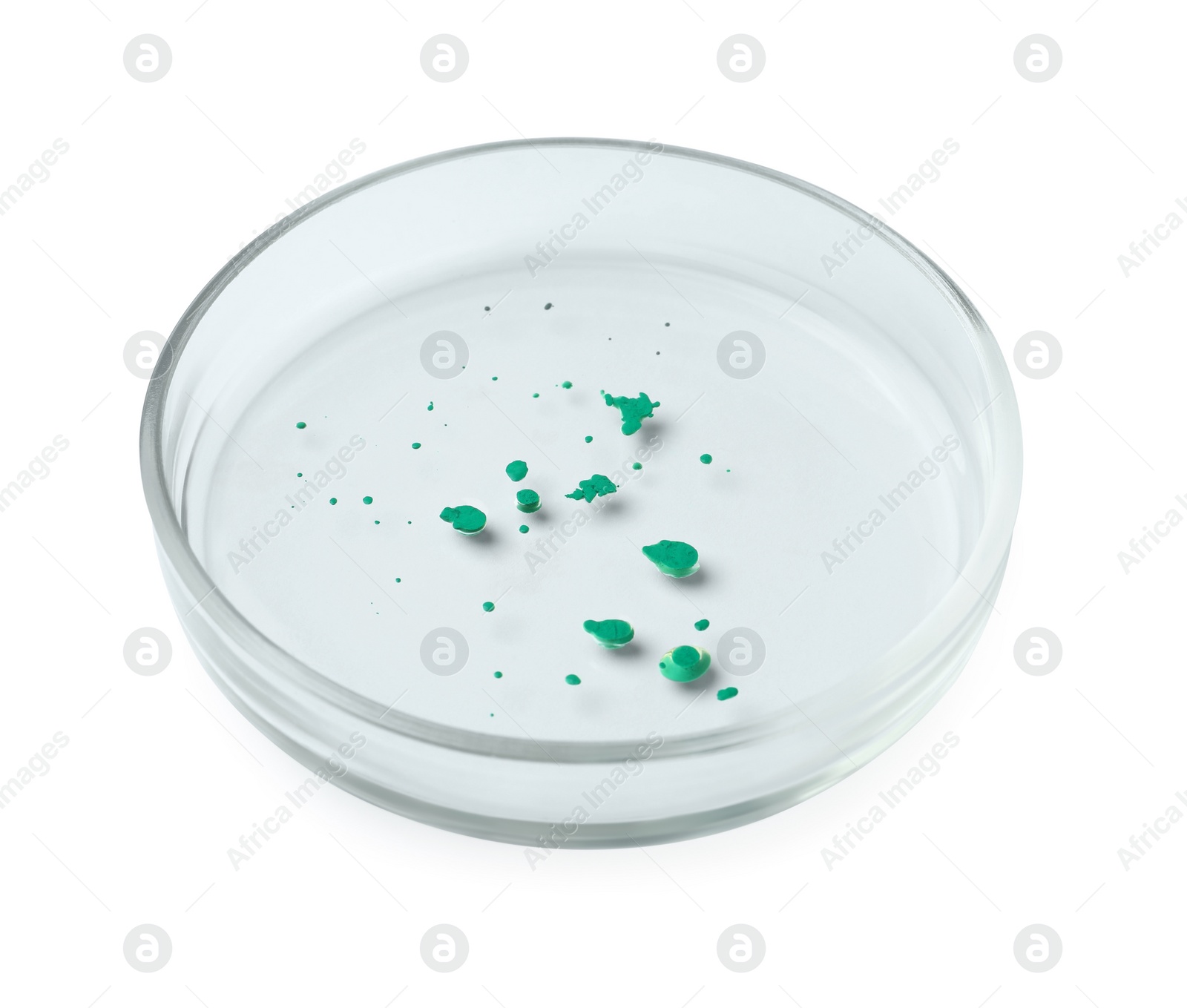 Photo of Petri dish with bacteria colony isolated on white