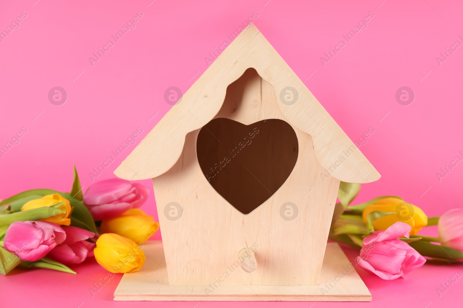 Photo of Beautiful bird house and tulips on pink background