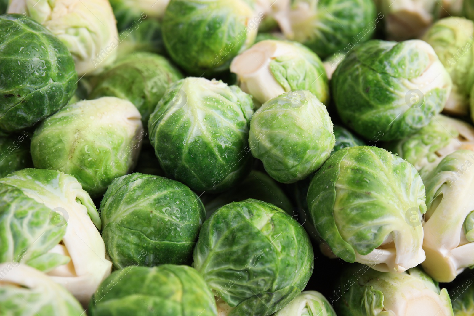 Photo of Fresh tasty Brussels sprouts as background, closeup