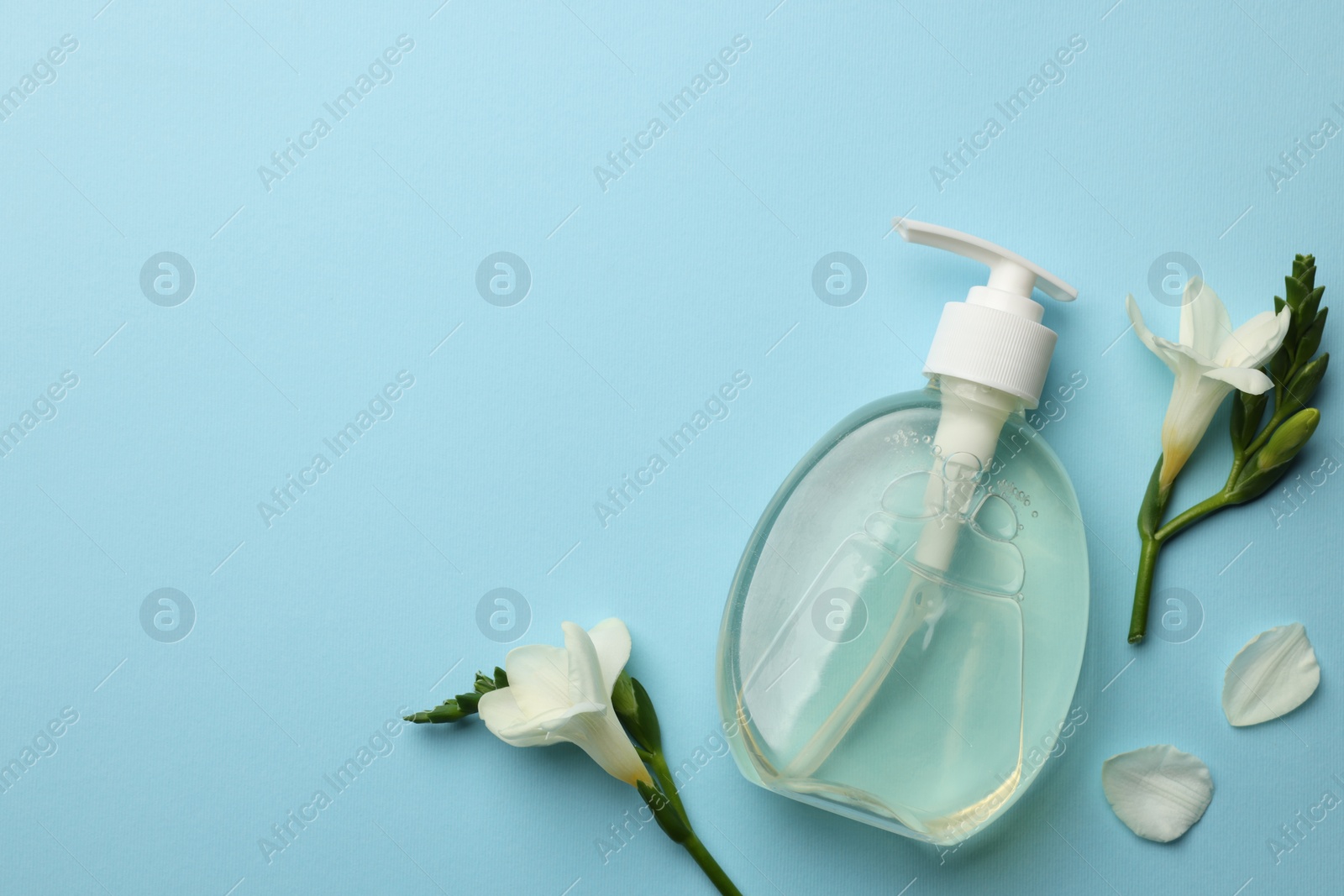 Photo of Bottle of liquid soap and flowers on light blue background, flat lay. Space for text