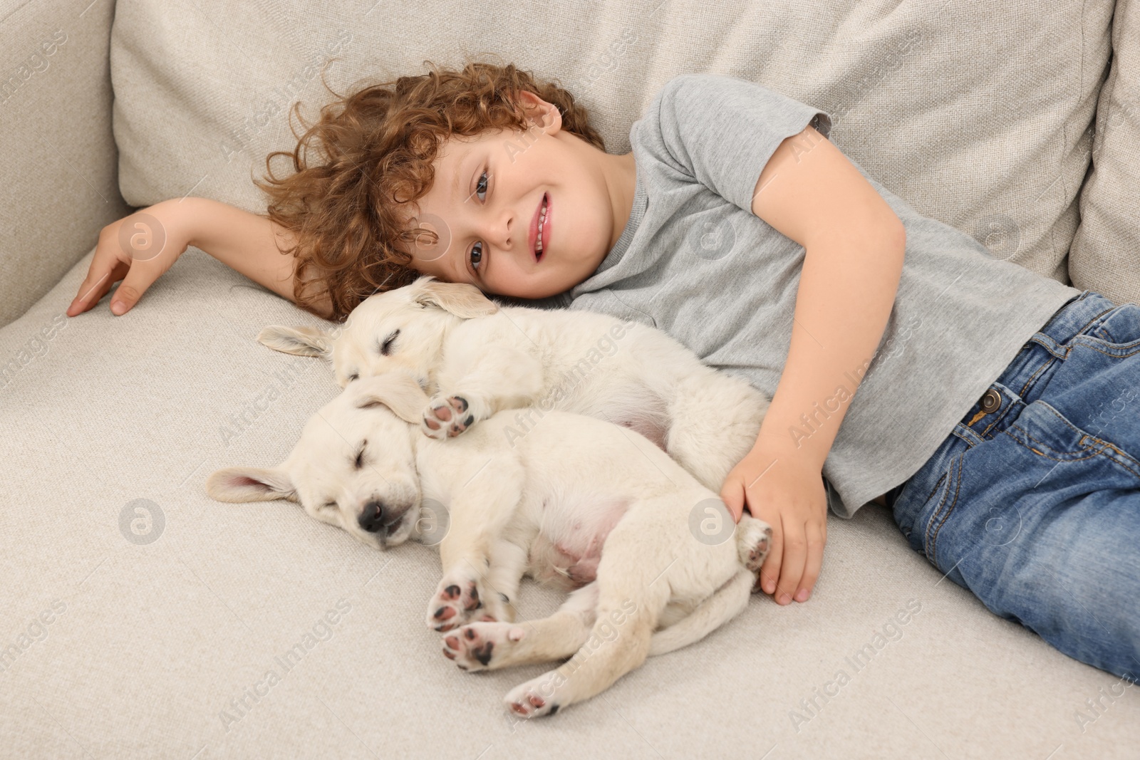 Photo of Little boy lying with cute puppies on couch