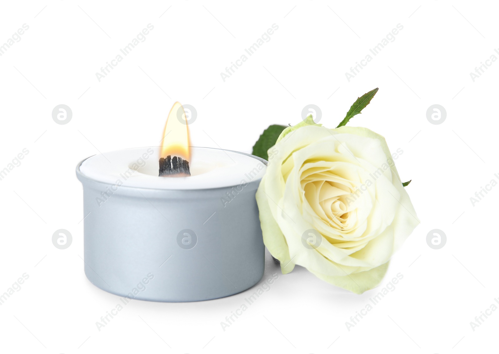 Photo of Aromatic candle with wooden wick and beautiful flower on white background