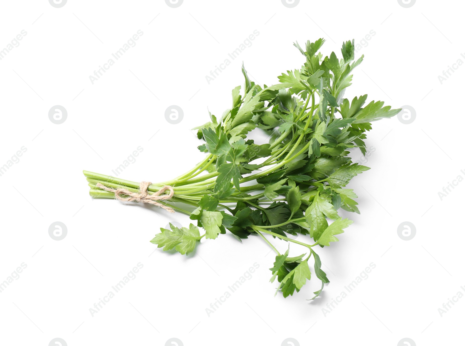 Photo of Bunch of fresh green organic parsley on white background