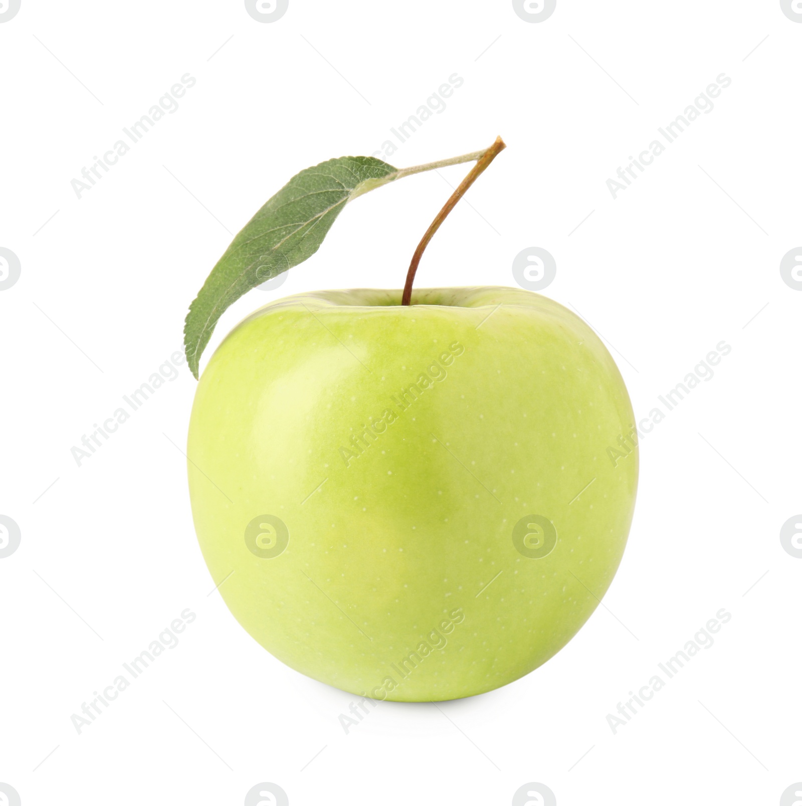 Photo of One ripe green apple with leaf isolated on white
