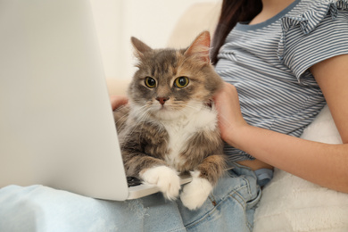 Photo of Cute little girl with laptop and cat at home, closeup. First pet