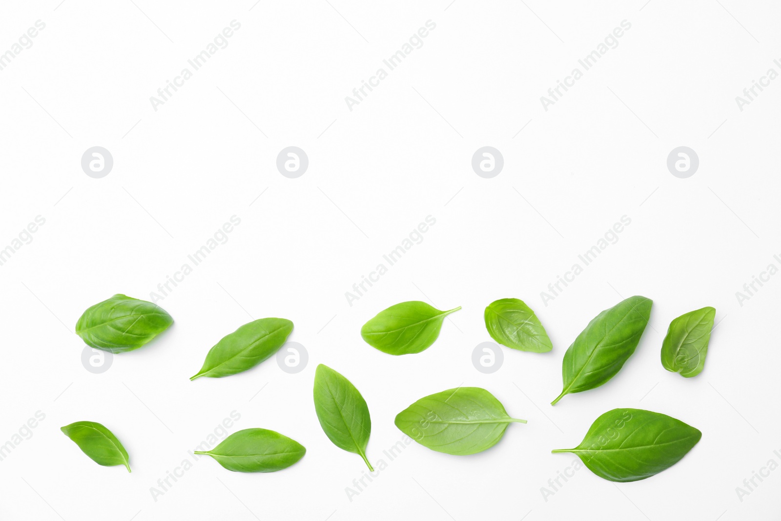 Photo of Fresh green basil leaves on white background, top view