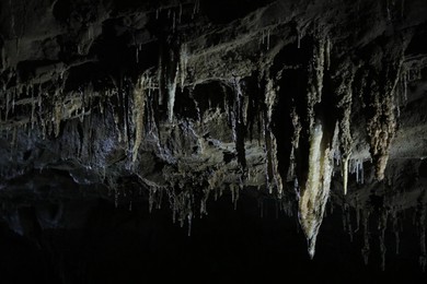 Picturesque view of many stalactite formations in dark cave