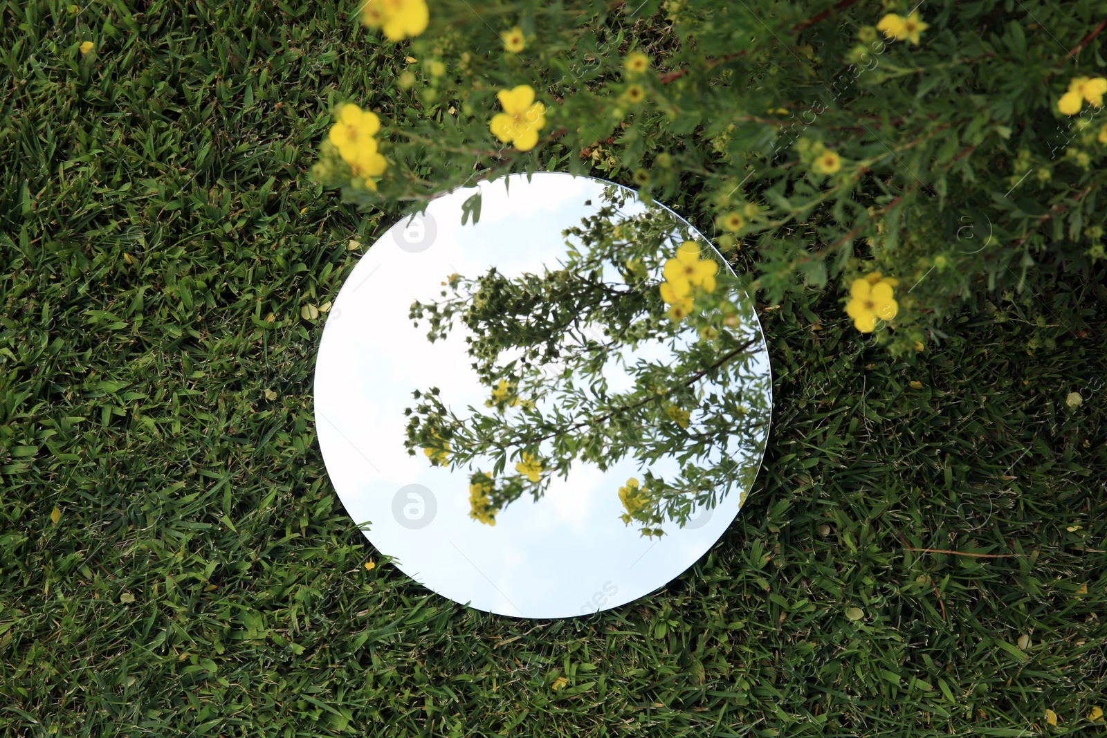 Photo of Round mirror on green grass reflecting sky and beautiful flowers, top view