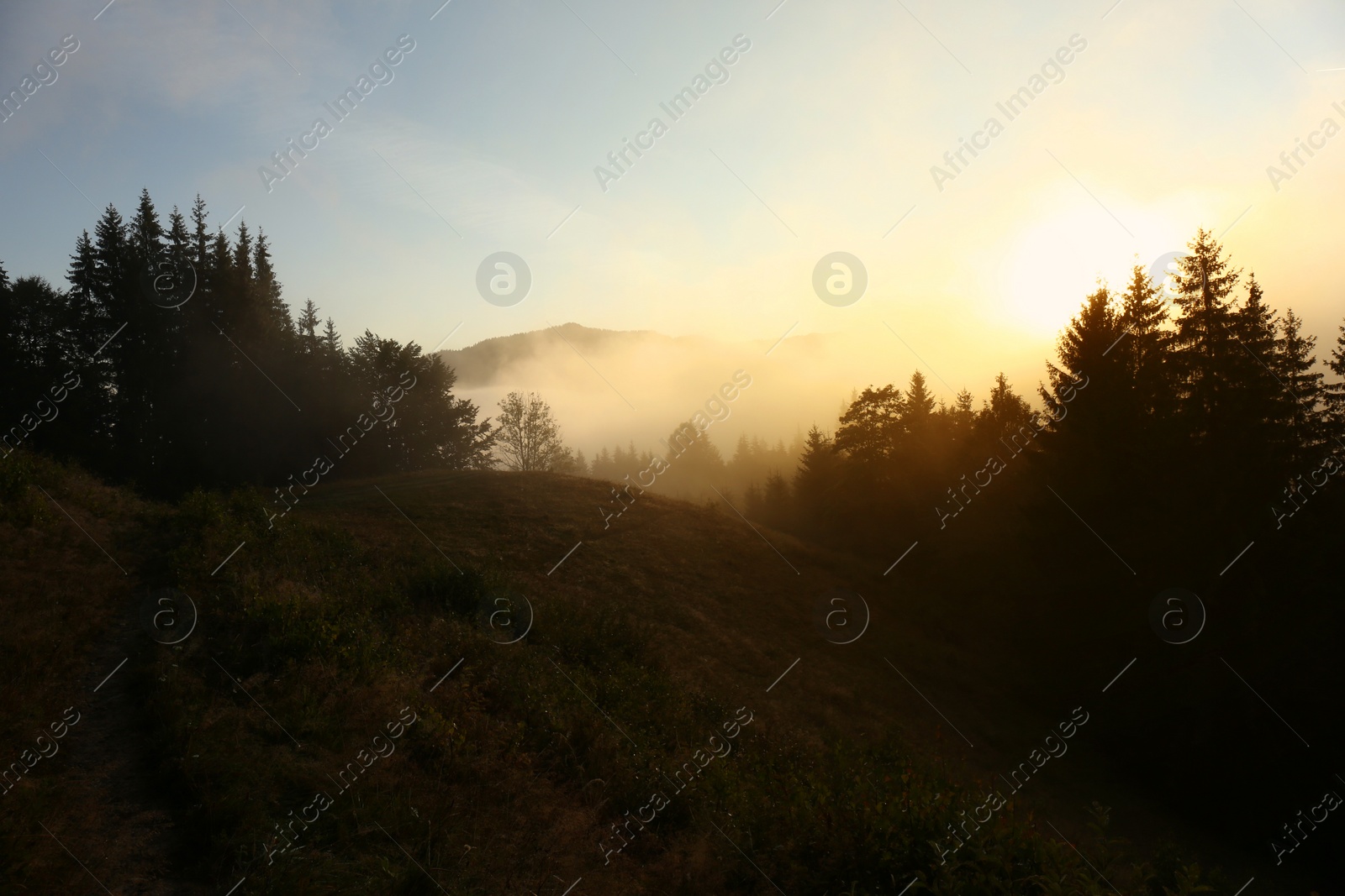 Photo of Picturesque view of mountains covered with fog at sunrise