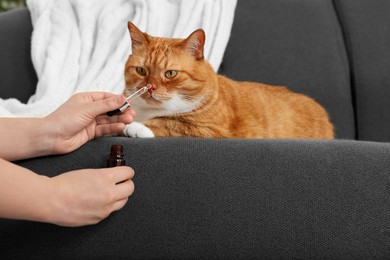 Photo of Woman giving vitamin tincture to cute cat indoors, closeup