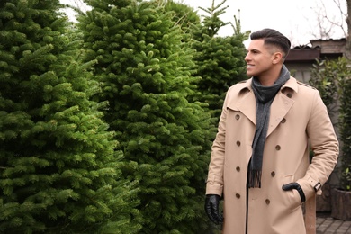 Photo of Man choosing plants at Christmas tree market. Space for text